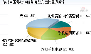 2009-2010年中國3G用戶網絡調查報告 投資策略、分析預測及市場調研